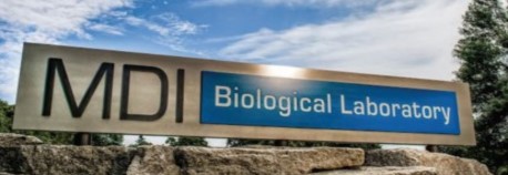 Mount Desert Biological Laboratory Sign