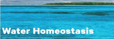 Water homeostasis