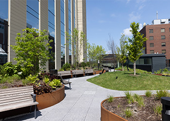 BIDMC's Healing Garden