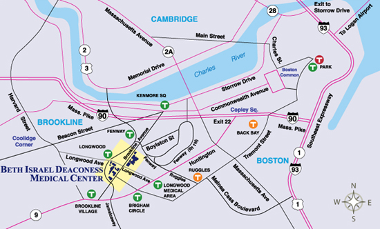 Smoking, Accessibility, Bus, and T Map