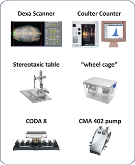  Animal Metabolic Physiology Core Equipment