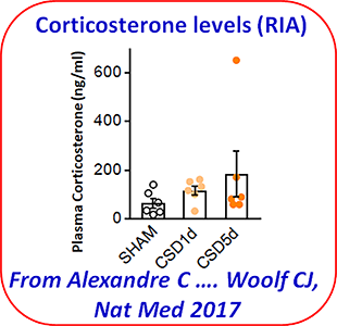 AMP_Core_Service_Ex_Corticosterone_Levels_RIA_310x300