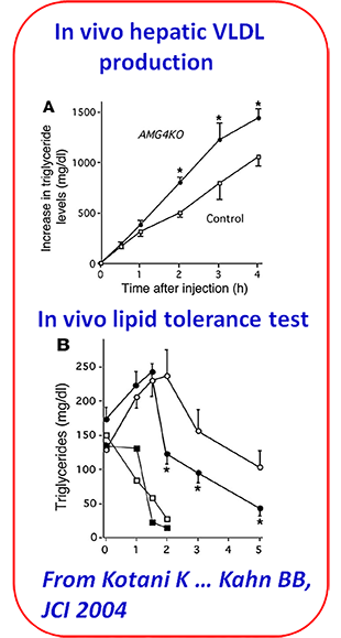 AMP_Core_Service_Ex_Hepatic_VDL_Prod_Lipid_Tol_Test_310x579