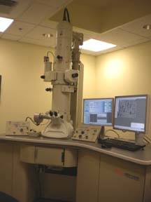 JEOL 1400 Electron Microscope