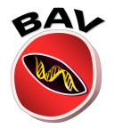 BAVgenetics logo