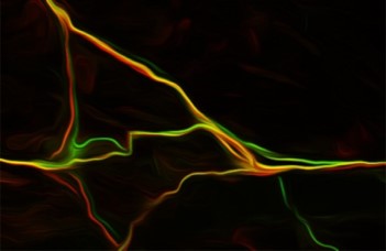 GCaMP6 and CGRP