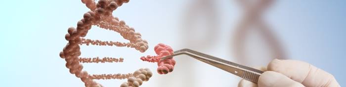 removing a gene from a DNA strand