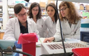 Dr. Longhi and members of her lab at work at BIDMC.
