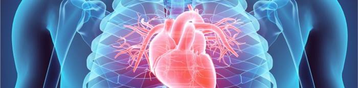 scientific heart