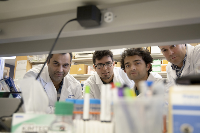 Shaefi Lab Shaefi Lab