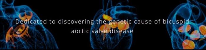 Heart images