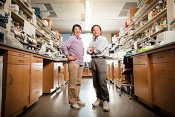 Researchers from BIDMC's Division of Hematology/Oncology