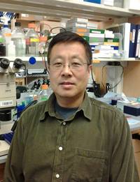 Dr. Yuan