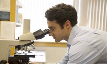 A researcher looks into a microscope