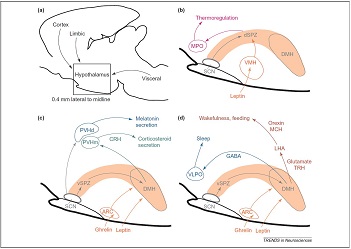 Figure 4 Saper Lab