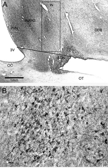 Figure 5 Saper Lab