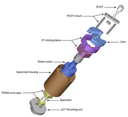 Image4SM (1)