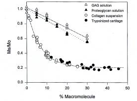 macromolecule