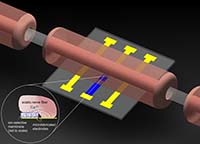 Experimental setup for modulation of ions around the nerve plastics web