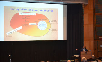 Harvard Medical School Center for Glycoscience Inaugural Symposium