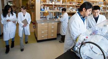 BIDMC surgery researchers in the lab