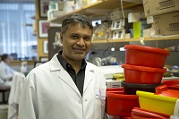 Dipak Panigrahy, MD
