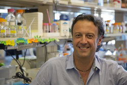 Dr. Alex Toker