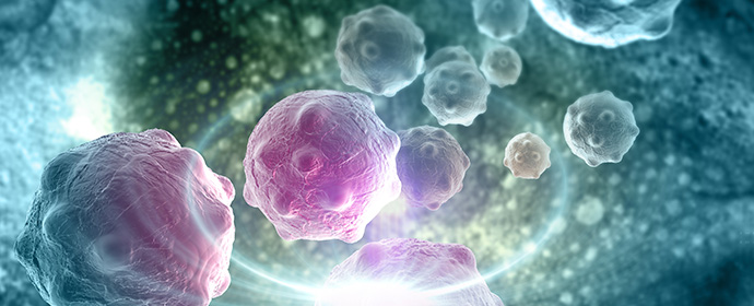 Cancer Cells