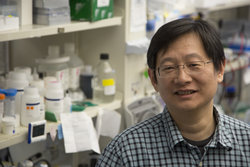 Dr. Wenyi Wei