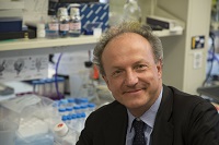 Pier Paolo Pandolfi, MD, PhD