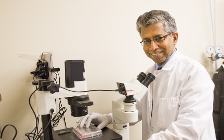 Diet High in Leucine May Fuel Breast Cancer’s Drug Resistance