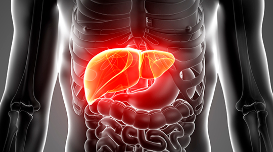 Anaesthesia Inflammation Principal Areas of Research Logo
