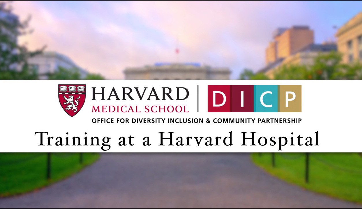 Diversity and Inclusion at Harvard Teaching Hospitals
