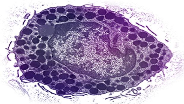 mastcell