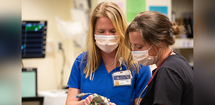 Nurse Residency Program: Nursing Students Practice Together