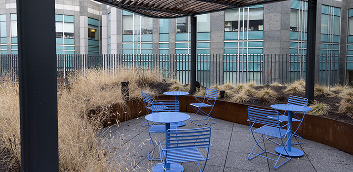 Klarman Building Rooftop Garden